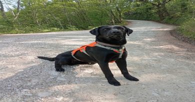 Il labrador che fiuta le perdite in mostra al Med Water Lab
